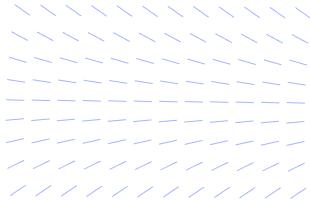 bg.webp